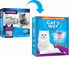 Cat's Way Box PREMIUM Lavander